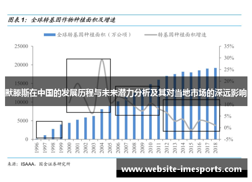 默滕斯在中国的发展历程与未来潜力分析及其对当地市场的深远影响